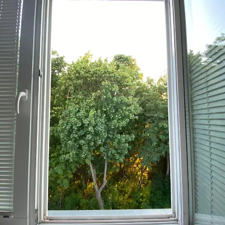 Przy Maksimie Orlowo Gdynia